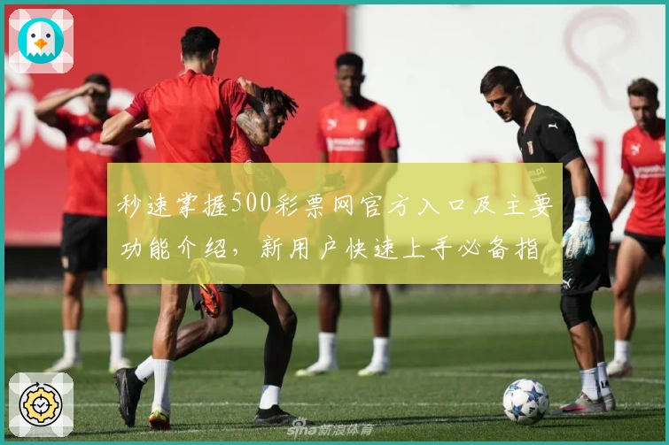 秒速掌握500彩票网官方入口及主要功能介绍，新用户快速上手必备指南！