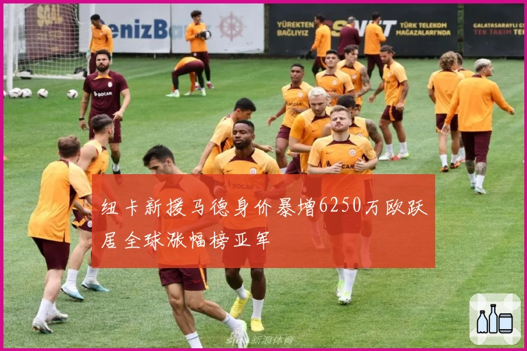纽卡新援马德身价暴增6250万欧跃居全球涨幅榜亚军